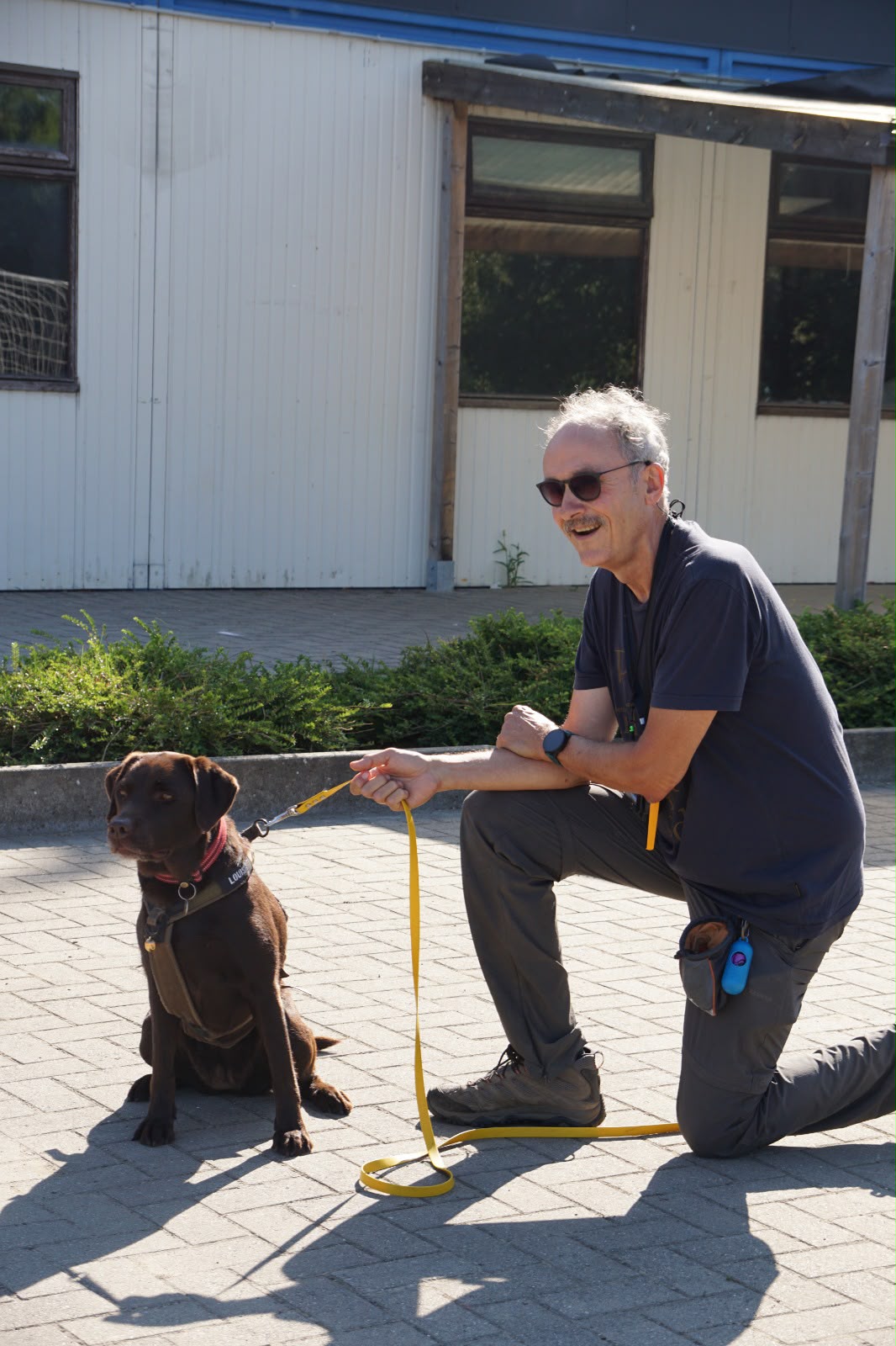 Louise, Labrador speurhond van B-SAR, samen met geleider Freddy tijdens training
