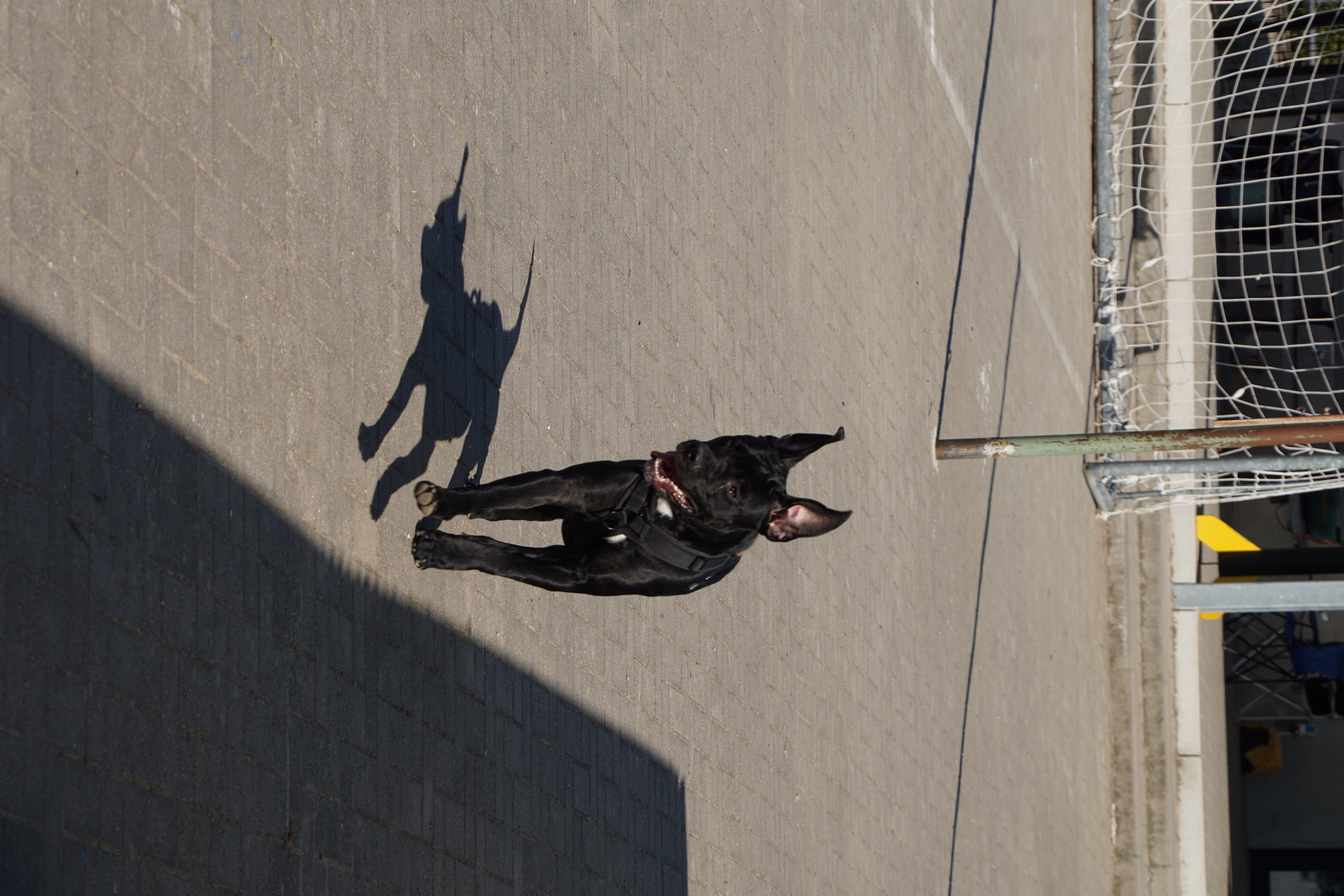 B-SAR inzet en training foto 2