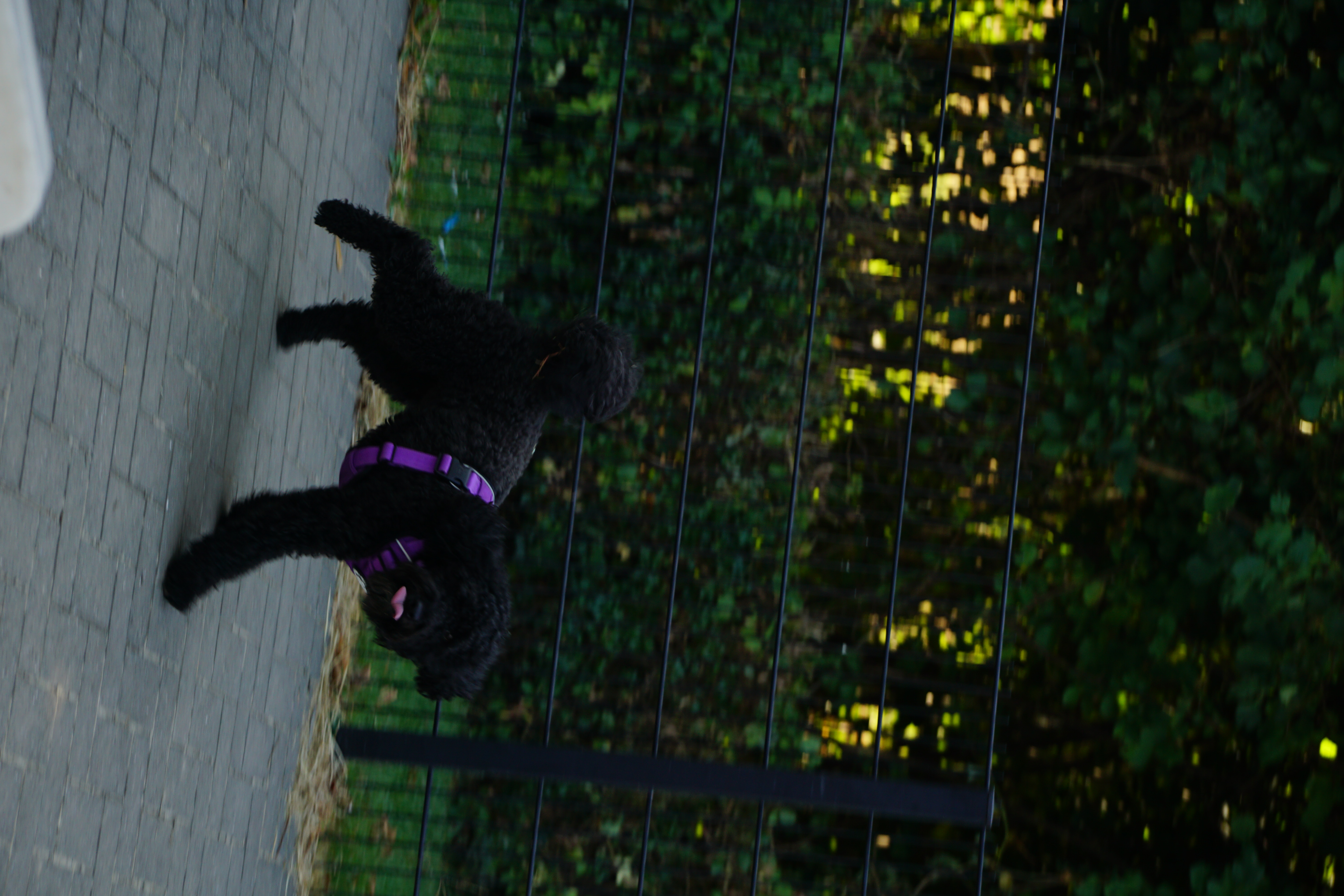 B-SAR inzet en training foto 3